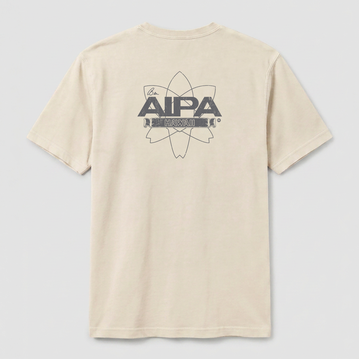 AIPA Heritage Atom Tee - Shadow