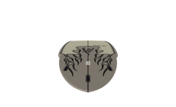 Titan Glider